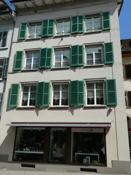 Denkmalschutzfenster